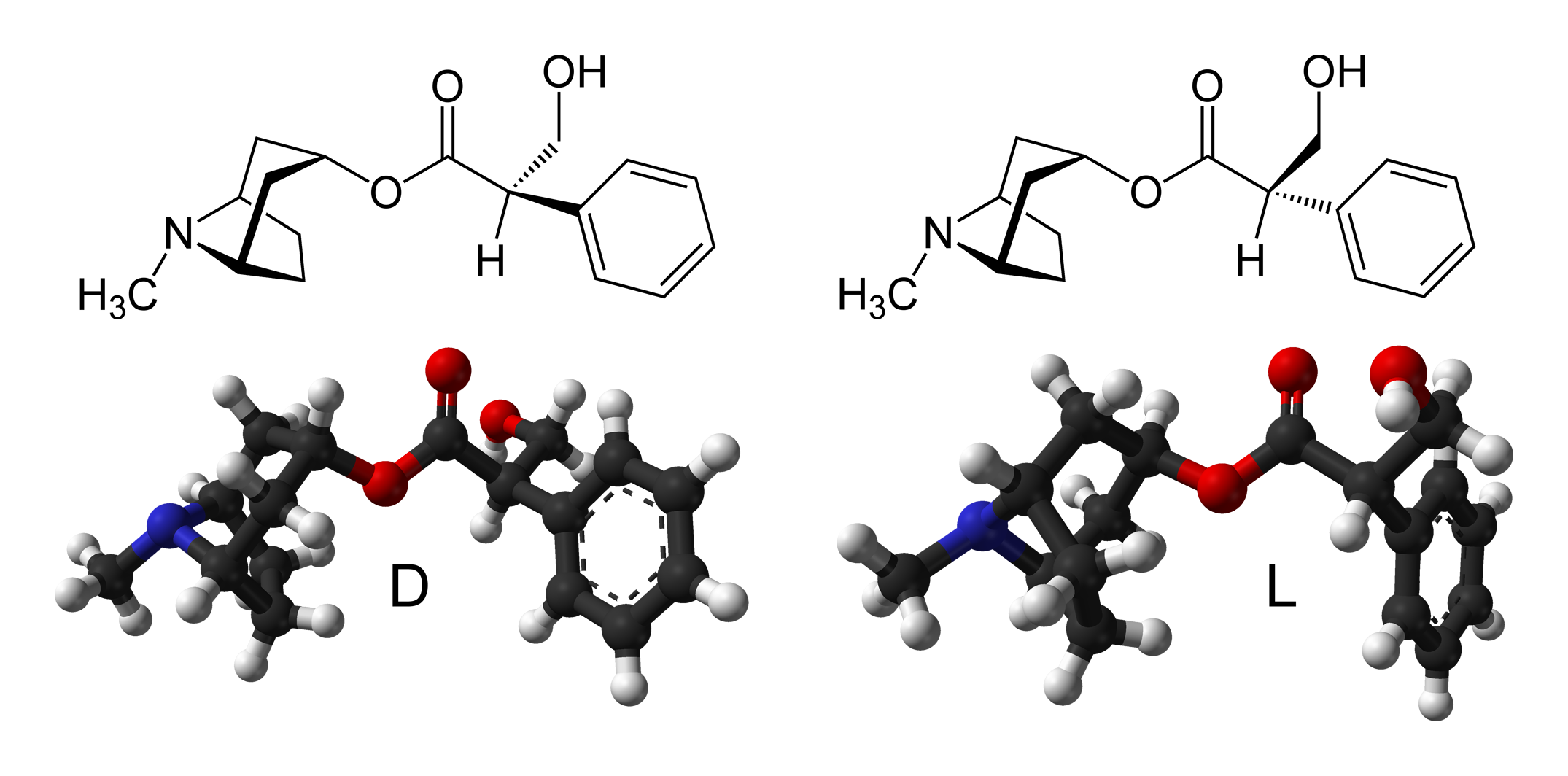 https://enallterm.unam.mx/sites/default/files/webform/wizard_fichatraductologica/1283/Atropina.png