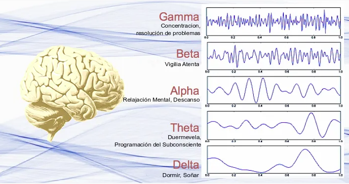 onda cerebral.png