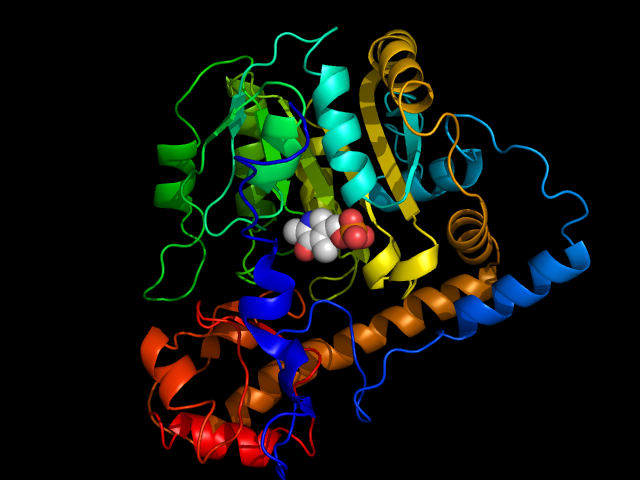 Aspartate_transaminase.png