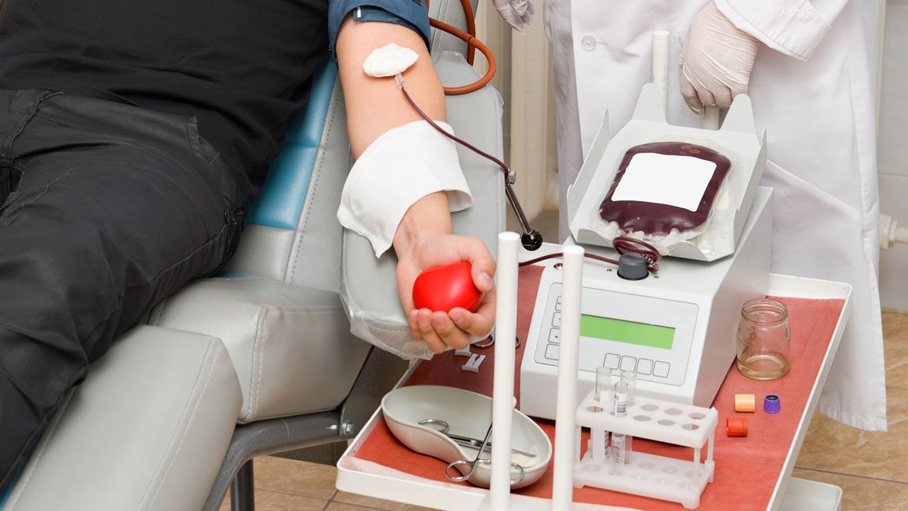 transfusion-de-sangre3.jpg