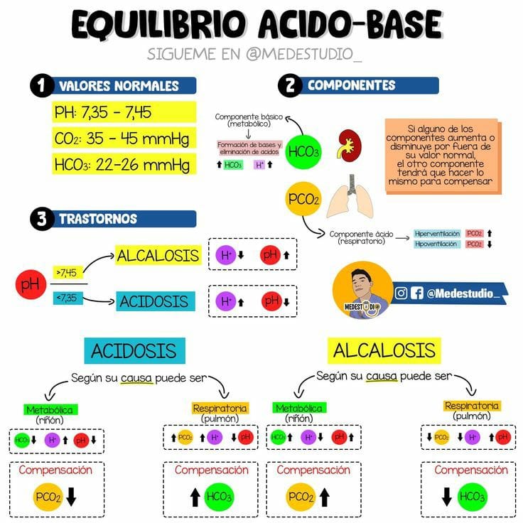 equilibrio acido-base.jpeg