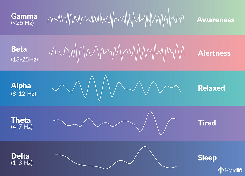 brain waves.png