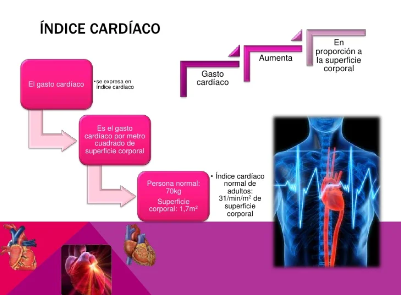 indice cardiaco.png