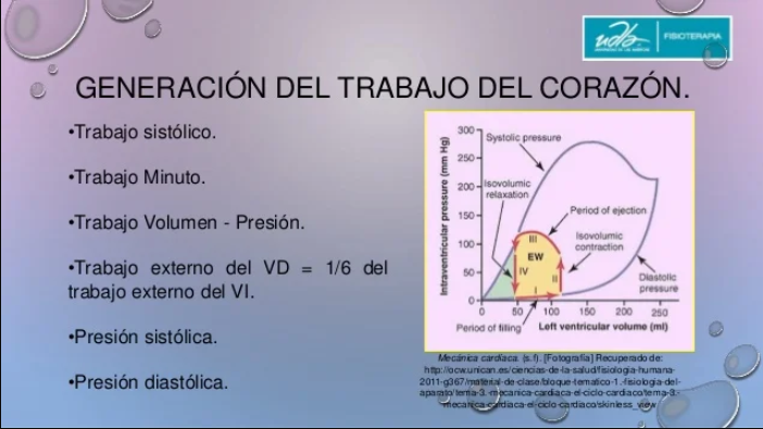 carga de trabajo del corazon.png