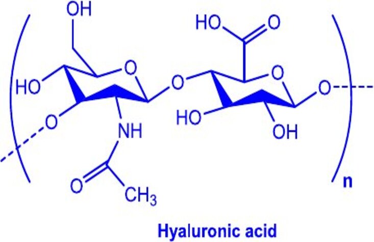 hyaluronic acid.jpg